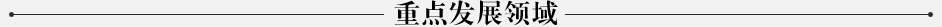 ���c(di��n)�l(f��)չ�I(l��ng)��