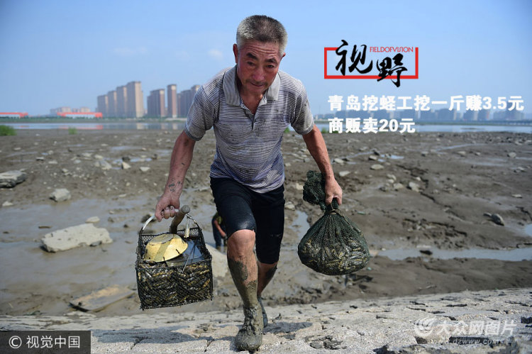 在青島膠州灣北部白沙河入海口,有一片盛產貝類的灘涂,這里落潮的時候遍布淤泥,淤泥之下就藏著豐富的貝類。每年夏季蟶子肥美的時節,就有眾多挖蟶子工人聚集于此,挖蟶賺錢。